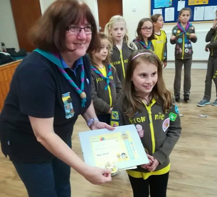 Brownie Gold Awards
