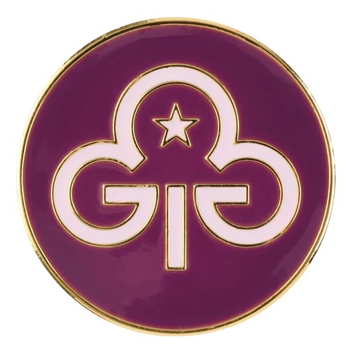 Rangers Metal Promise Badge