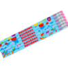 Rainbow Pencils (6 Pack)