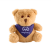 Girlguiding teddy keyring